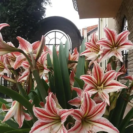 Nova Dom Apartman Banja Luka