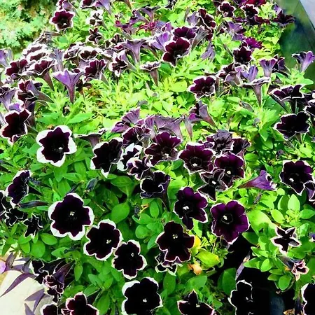 Apartmán Nova Dom Banja Luka